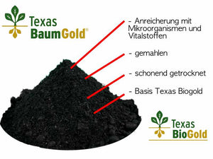 Texas Baumgold - Energiewert Cloppenburg GmbH